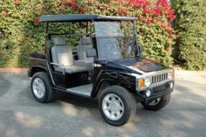affordable golf cart rental, golf cart rent costa mesa golf cart rental 